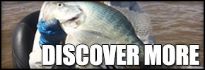 290x100_vault2016_discoverMore2017.jpg